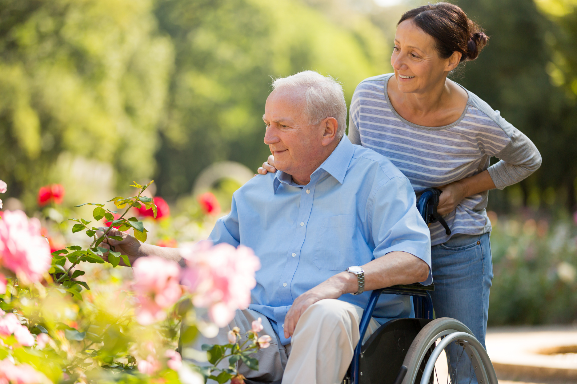 Homemaking & Meal Prep — non-medical home care service